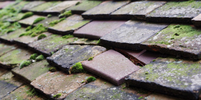 Hyde Heath roof repair costs